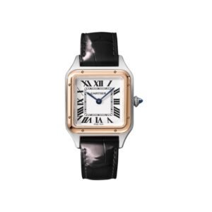 Cartier Santos Dumont – Noir
