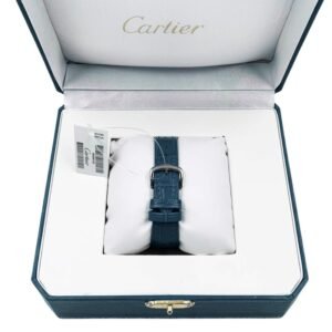 Cartier Santos Dumont – Bleu